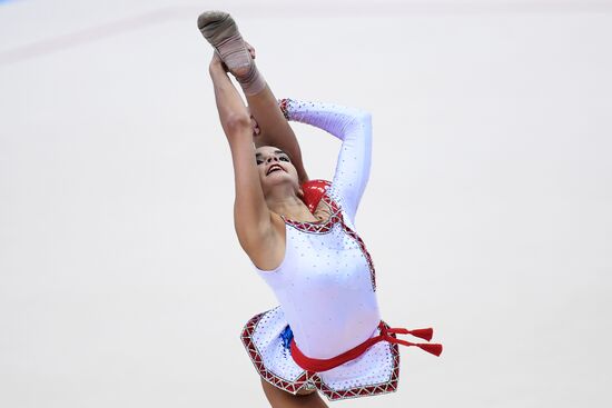 Rhythmic gymnastics. 2018 FIG World Challenge Cup Kazan. Day three