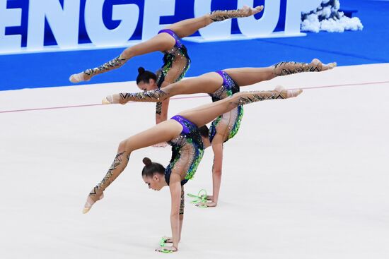 Rhythmic gymnastics. 2018 FIG World Challenge Cup Kazan. Day three