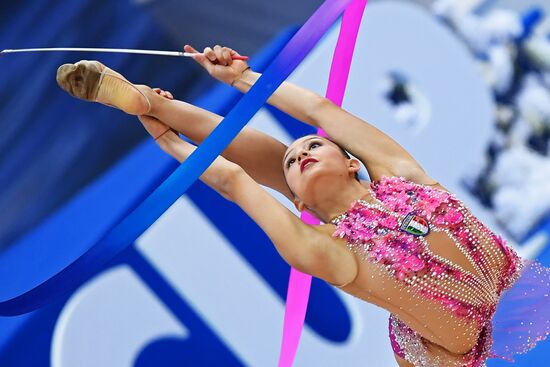 Rhythmic gymnastics. 2018 FIG World Challenge Cup Kazan. Day three