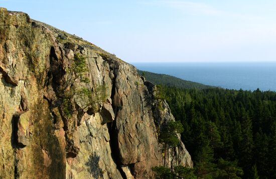 Gogland Island