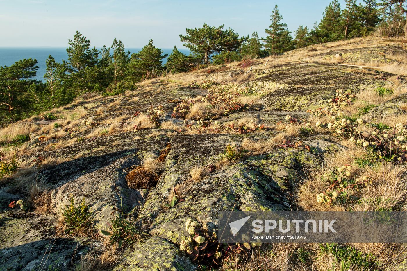 Gogland Island