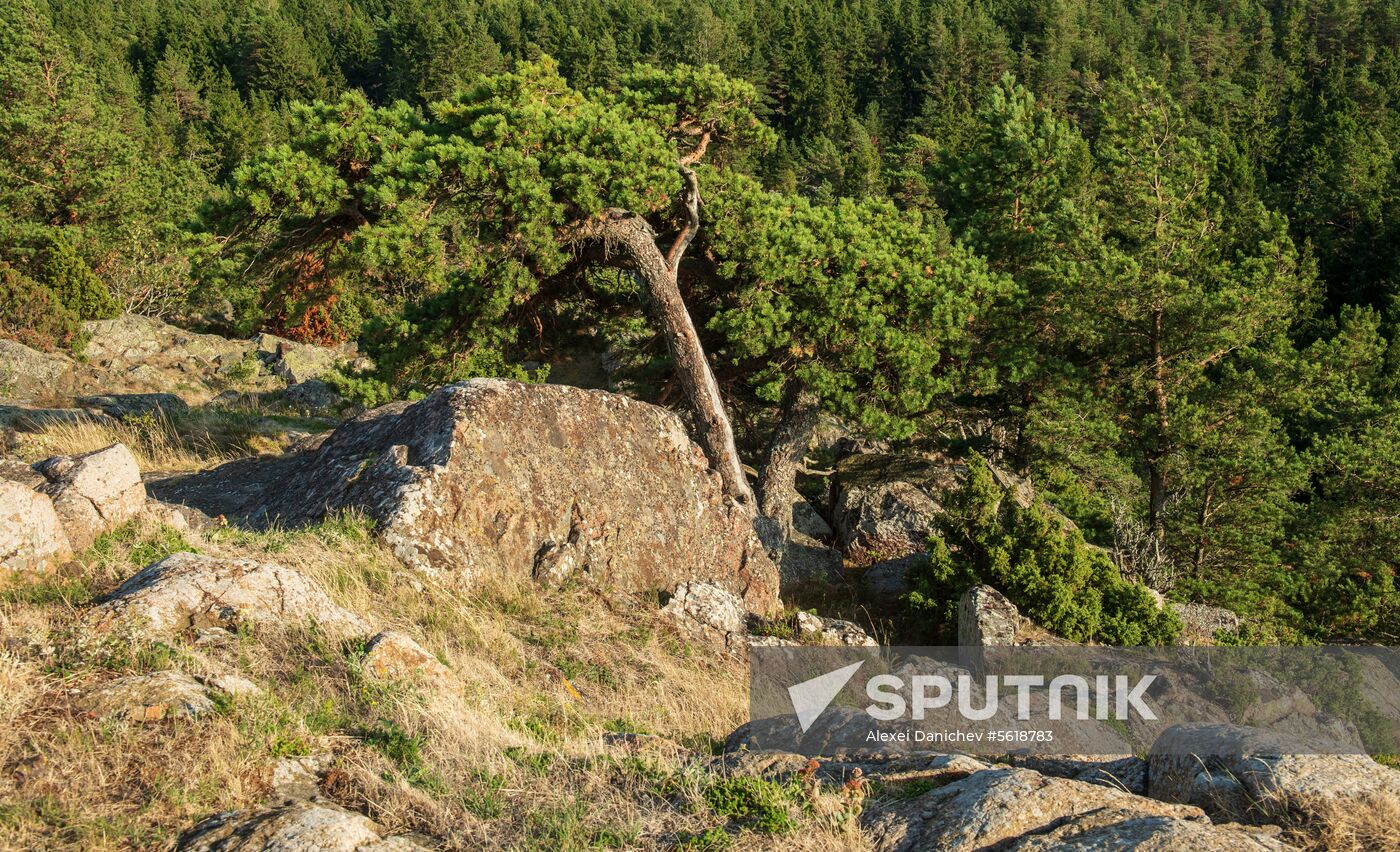 Gogland Island