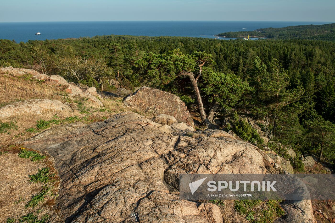 Gogland Island