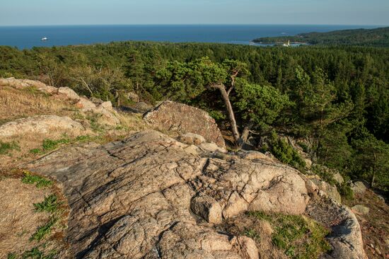 Gogland Island