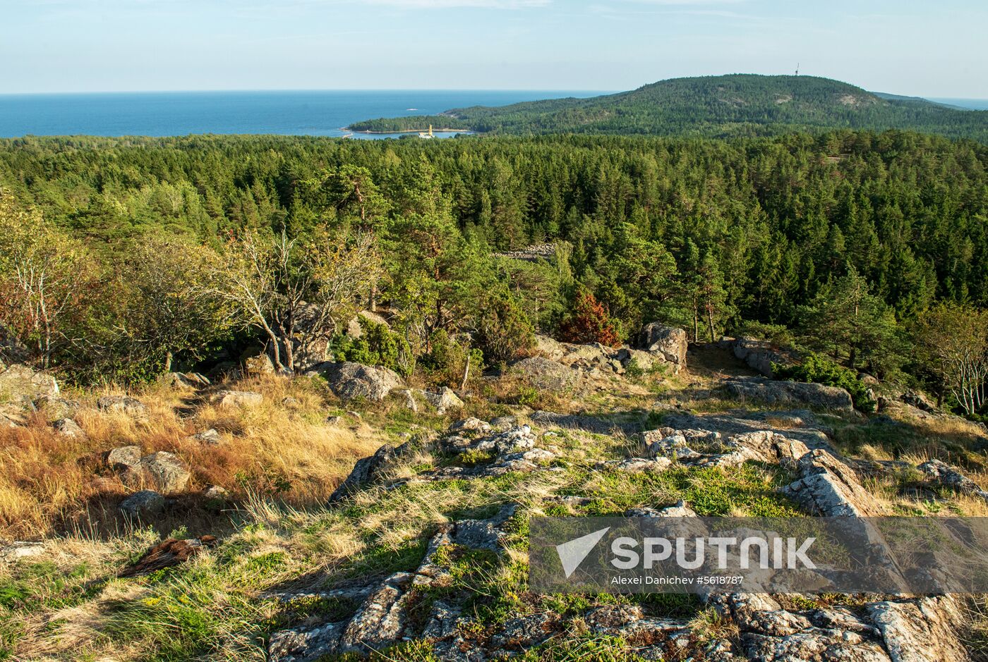 Gogland Island