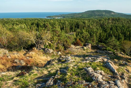 Gogland Island