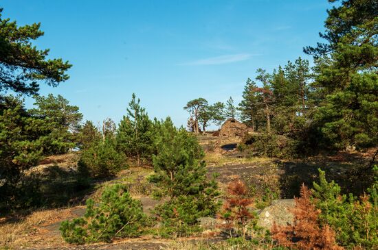 Gogland Island