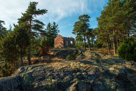 Gogland Island