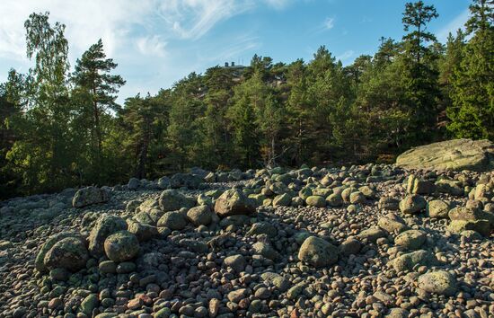 Gogland Island