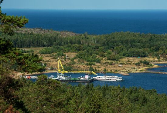 Gogland Island