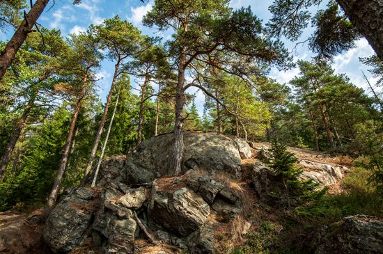 Gogland Island