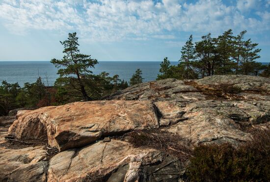 Gogland Island