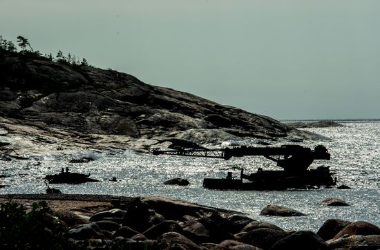 Gogland Island