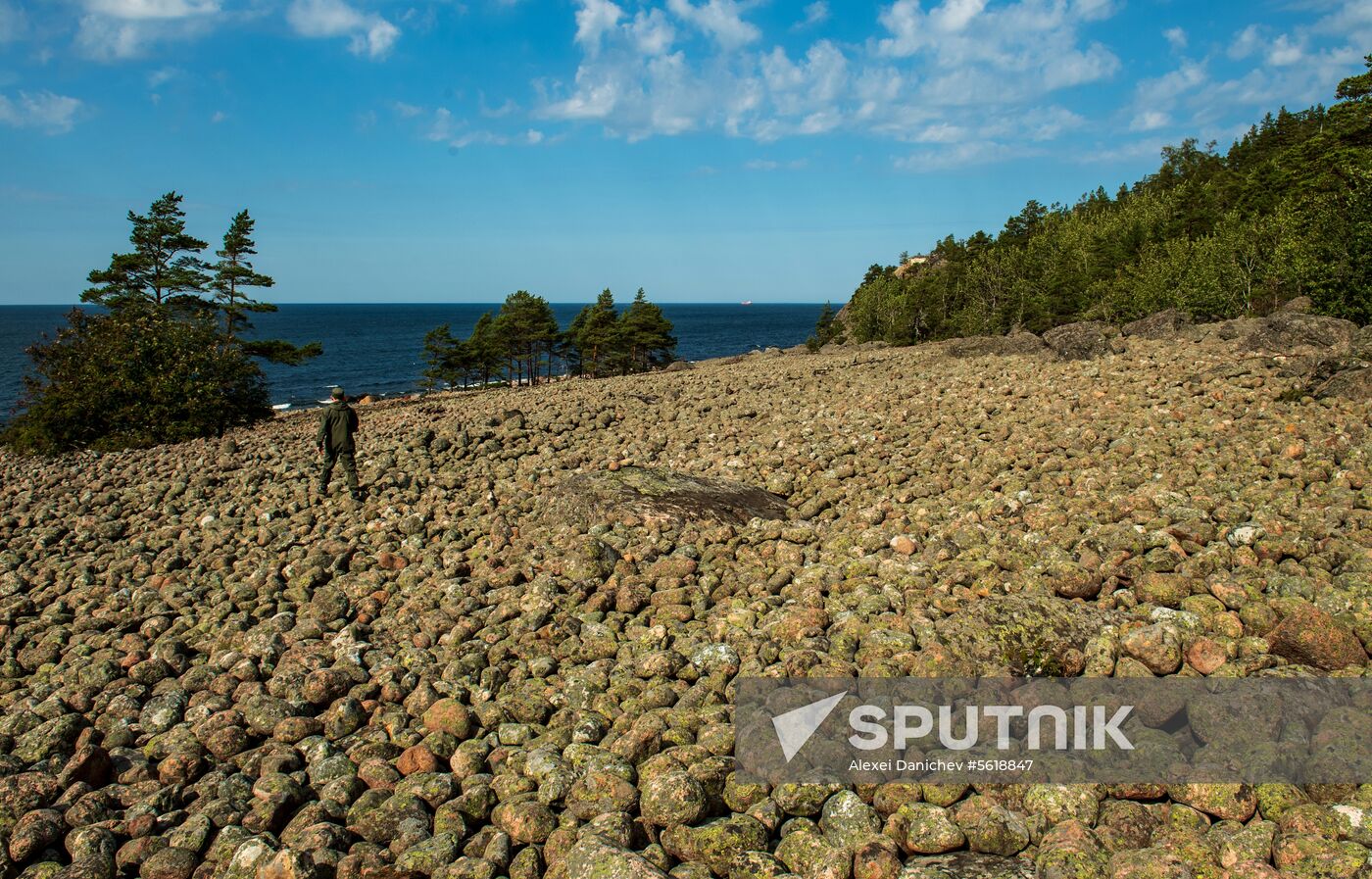 Gogland Island