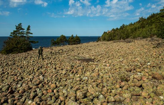Gogland Island