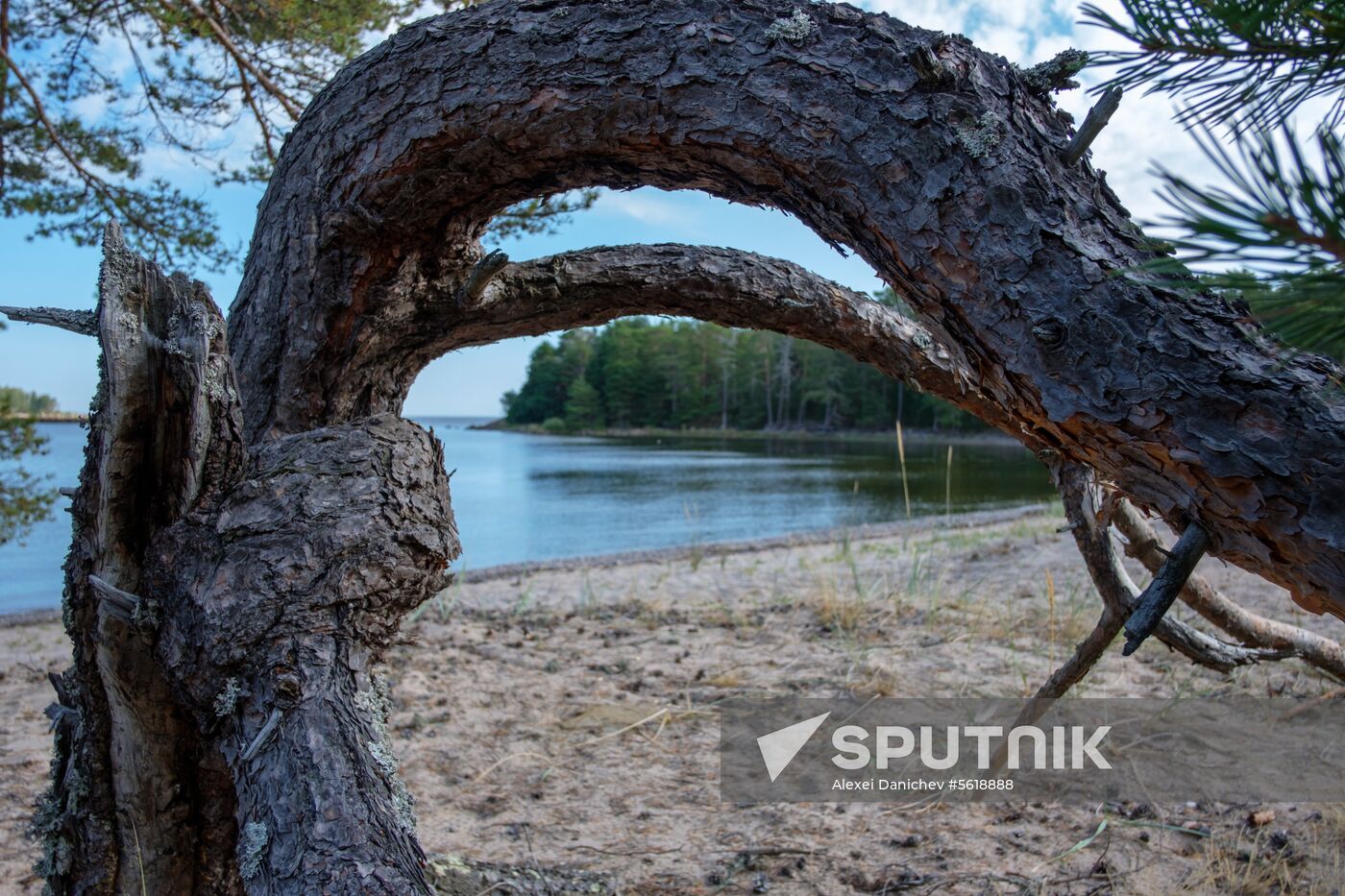 Gogland Island