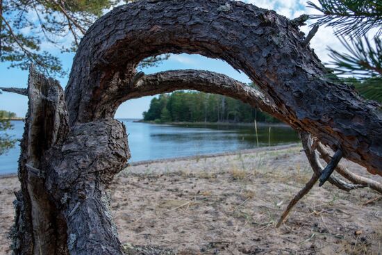 Gogland Island