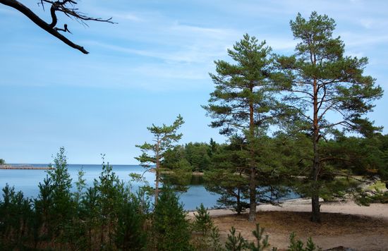 Gogland Island