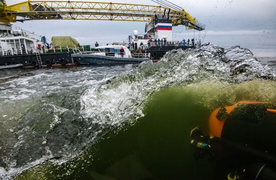 Gogland underwater research expedition