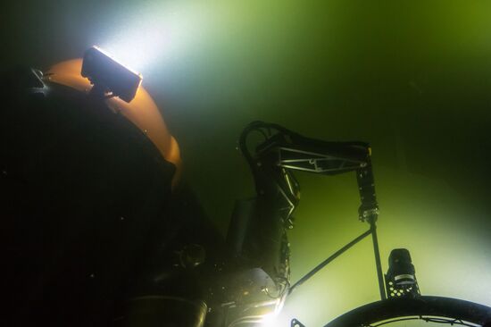 Gogland underwater research expedition