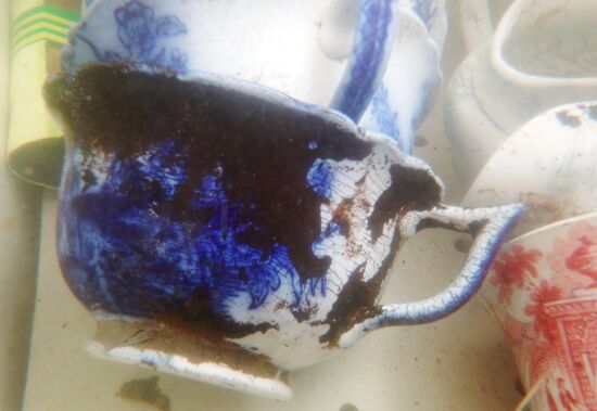 Gogland underwater research expedition