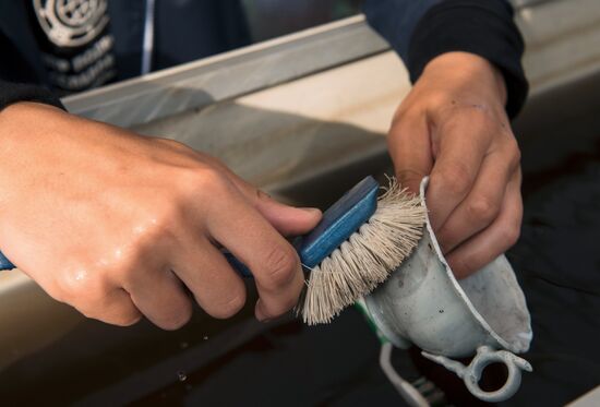 Gogland underwater research expedition