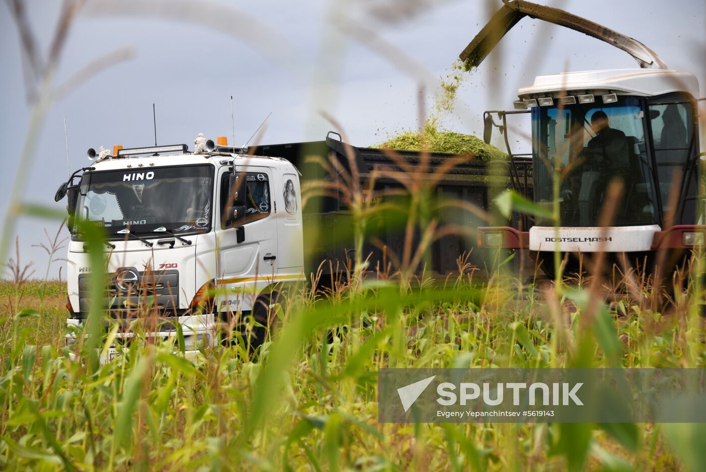 Forage harvesting in Trans-Baikal Territory
