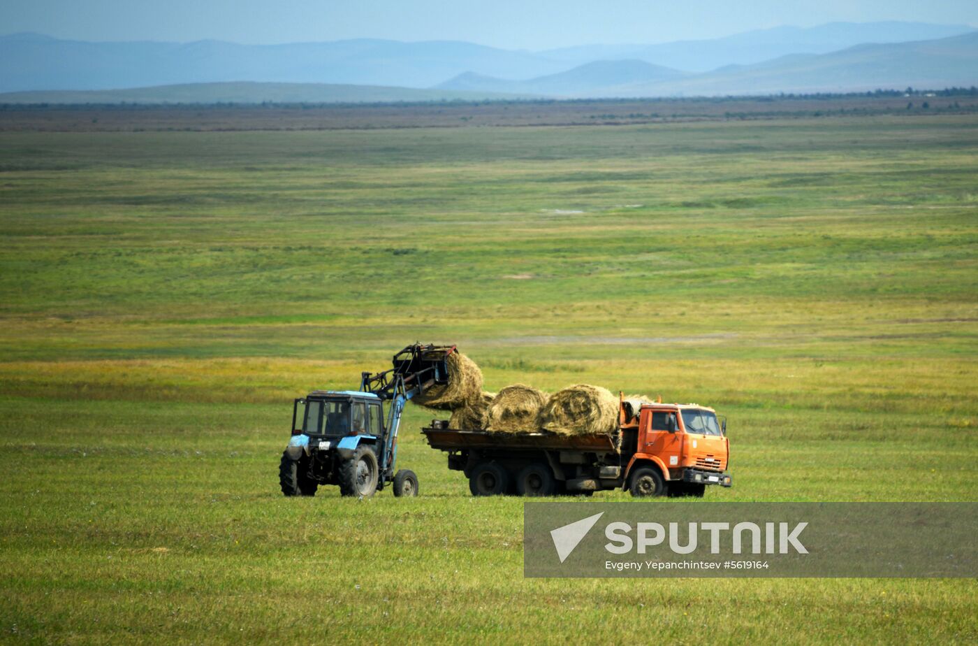 Forage harvesting in Trans-Baikal Territory