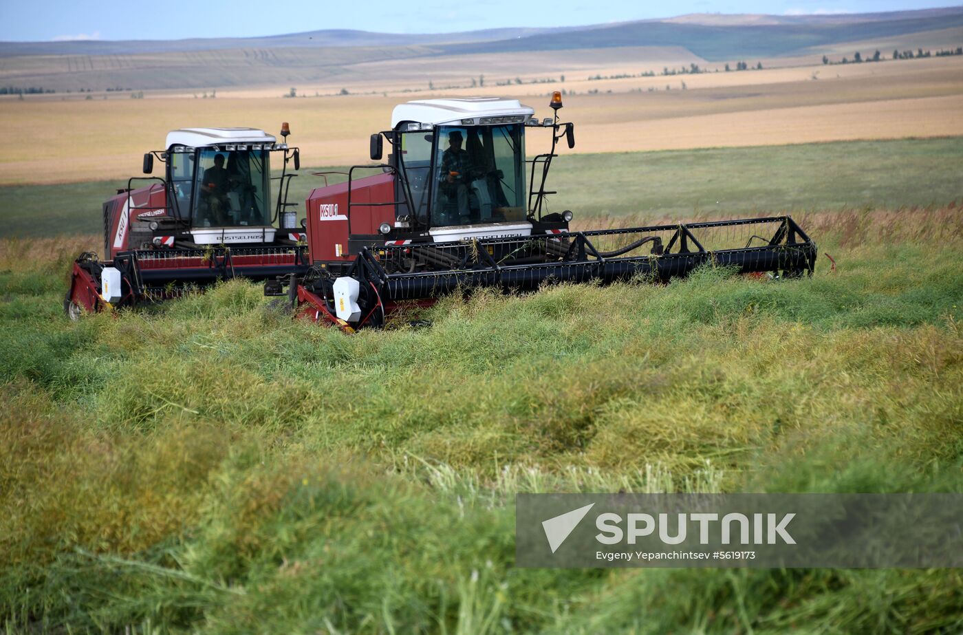 Forage harvesting in Trans-Baikal Territory