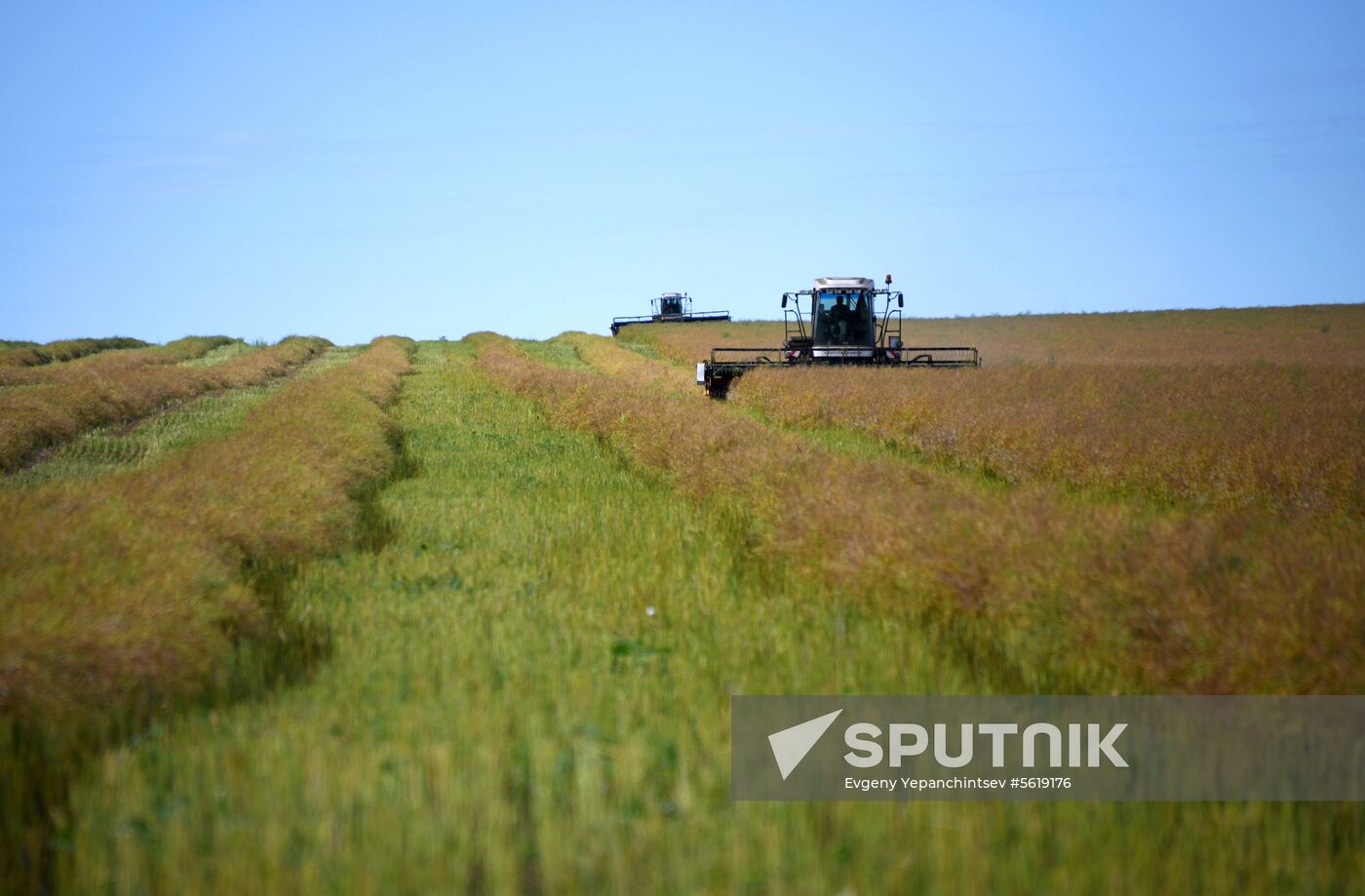 Forage harvesting in Trans-Baikal Territory
