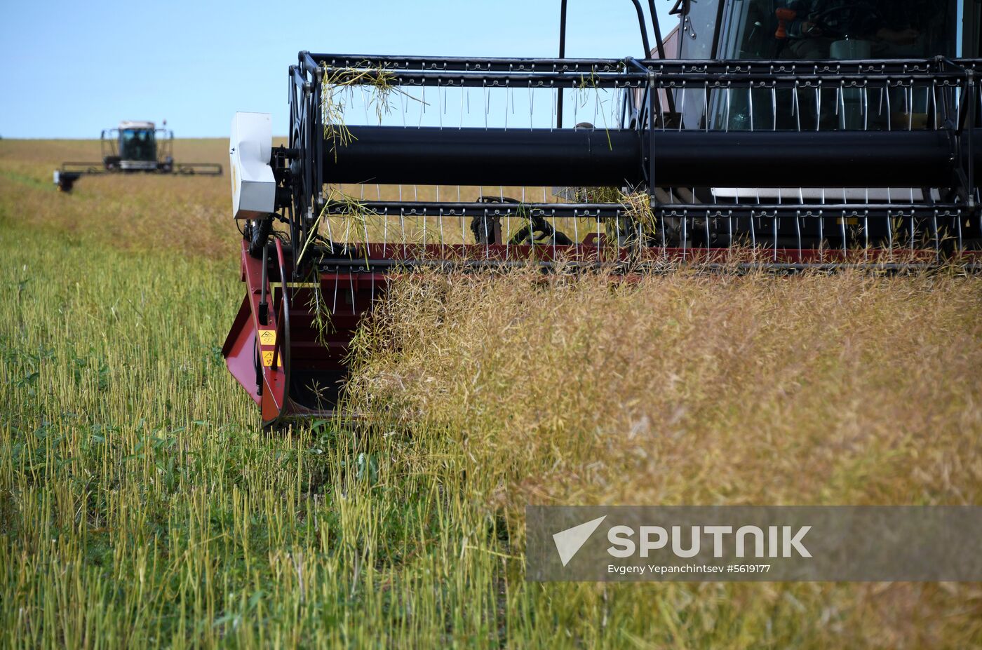 Forage harvesting in Trans-Baikal Territory