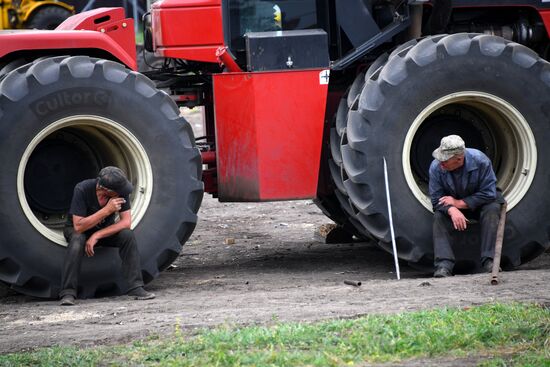 Forage harvesting in Trans-Baikal Territory
