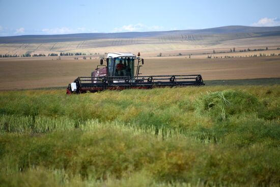 Forage harvesting in Trans-Baikal Territory
