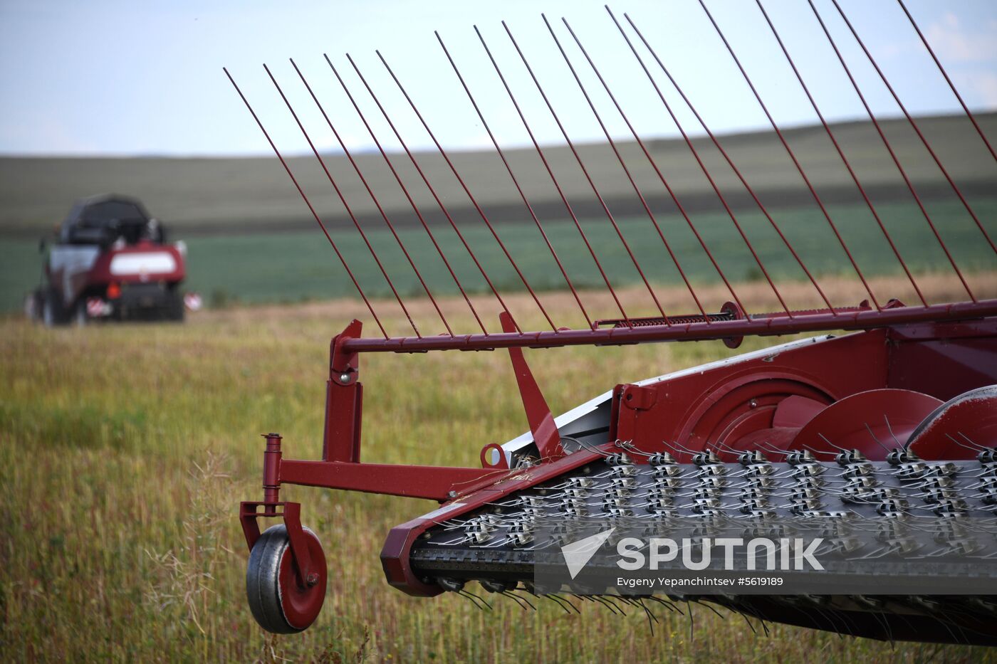 Forage harvesting in Trans-Baikal Territory