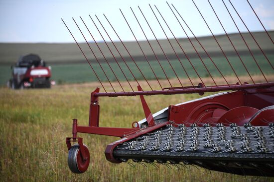 Forage harvesting in Trans-Baikal Territory