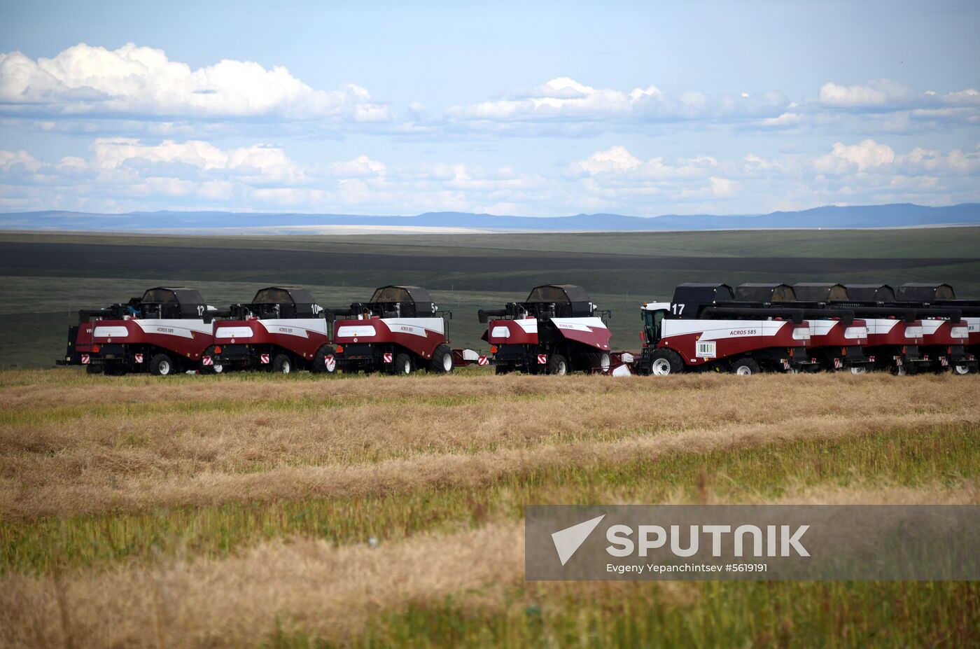 Forage harvesting in Trans-Baikal Territory