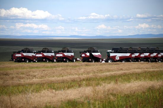 Forage harvesting in Trans-Baikal Territory