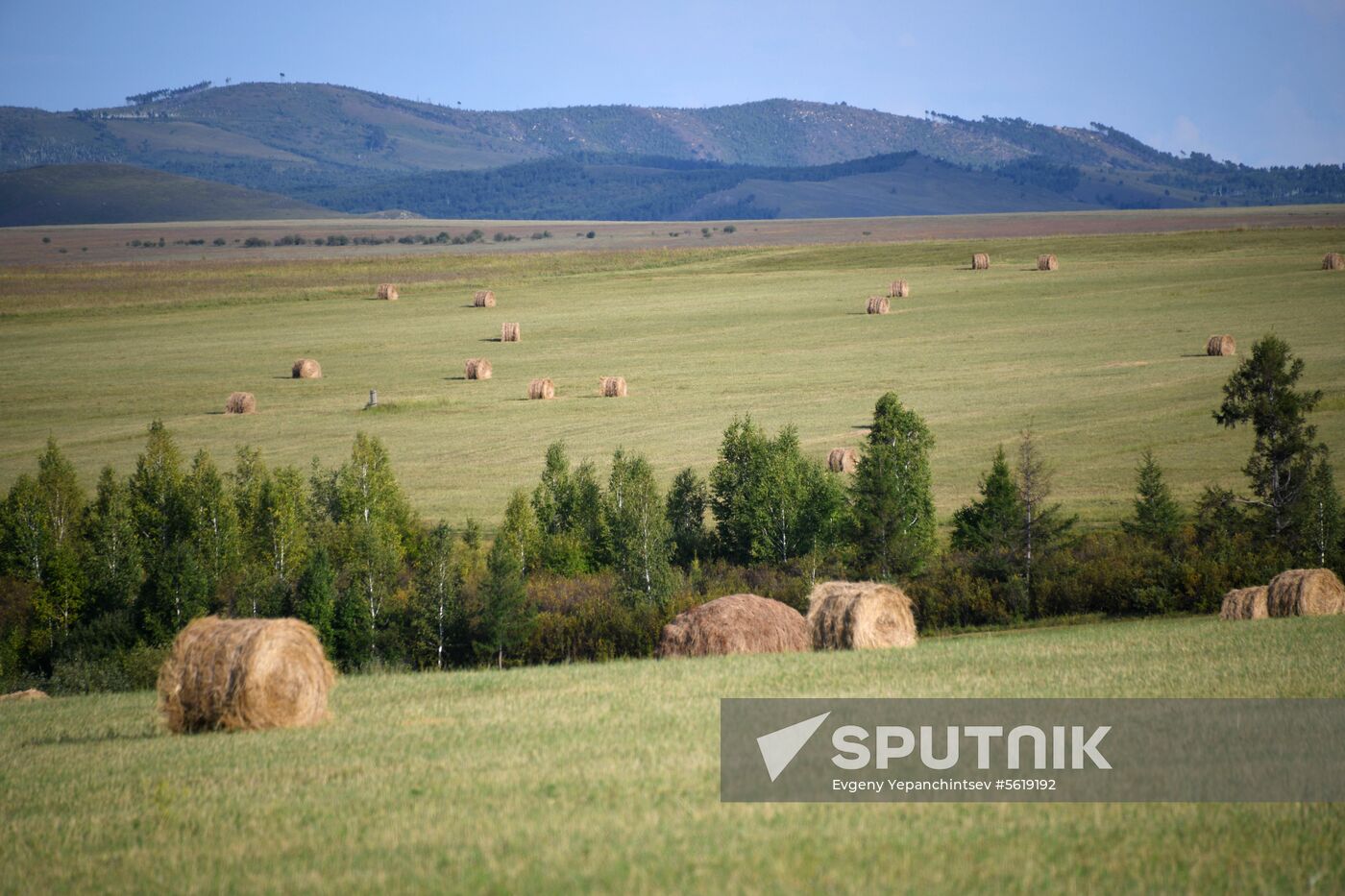 Forage harvesting in Trans-Baikal Territory