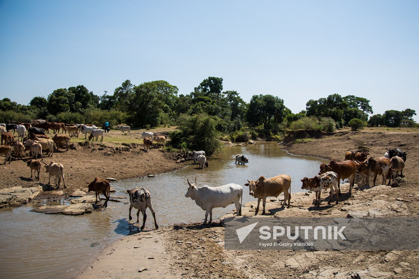 Maasai village in Kenya