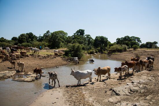 Maasai village in Kenya