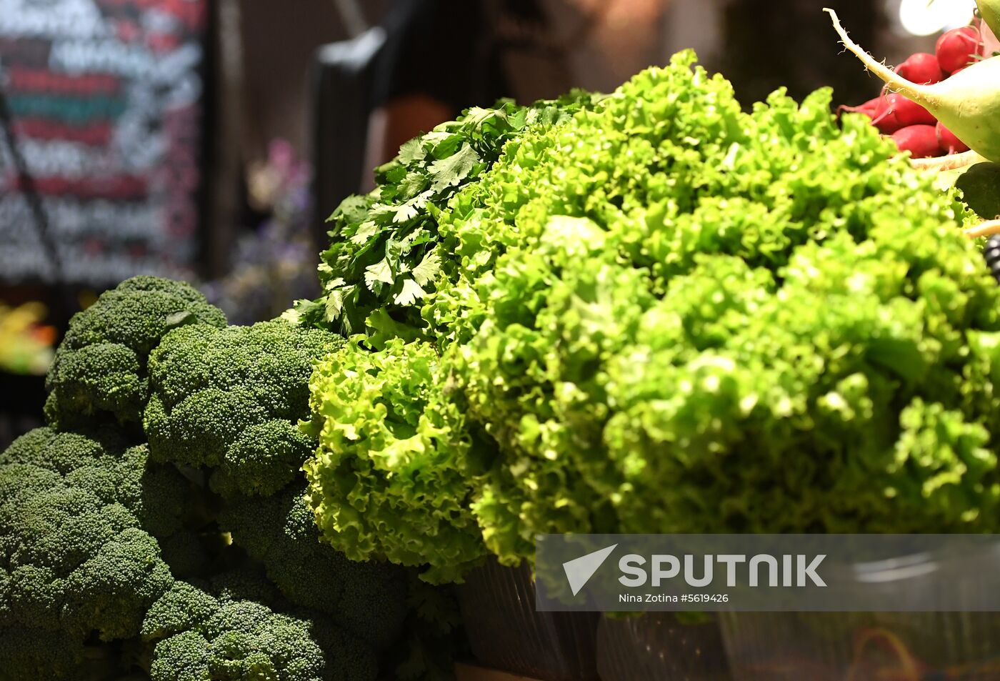 Liberal Democratic Party leader Vladimir Zhirinovsky visits Central market