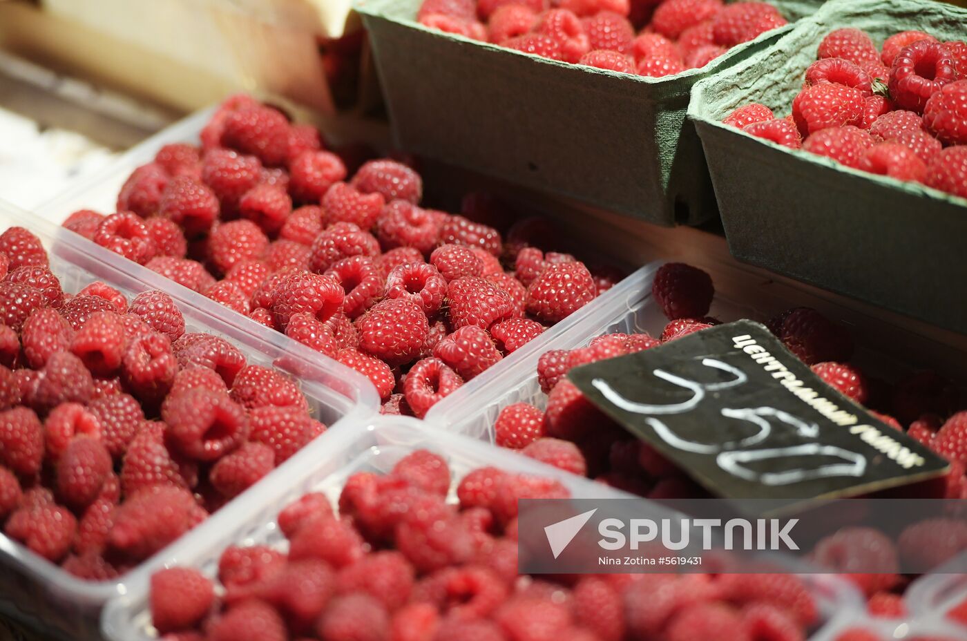 Liberal Democratic Party leader Vladimir Zhirinovsky visits Central market