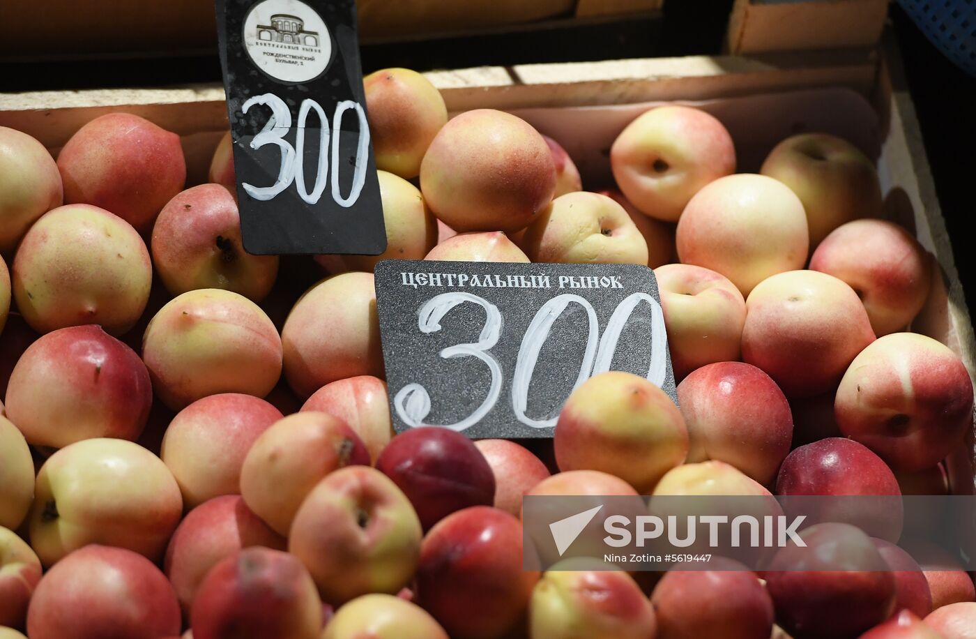 Liberal Democratic Party leader Vladimir Zhirinovsky visits Central market