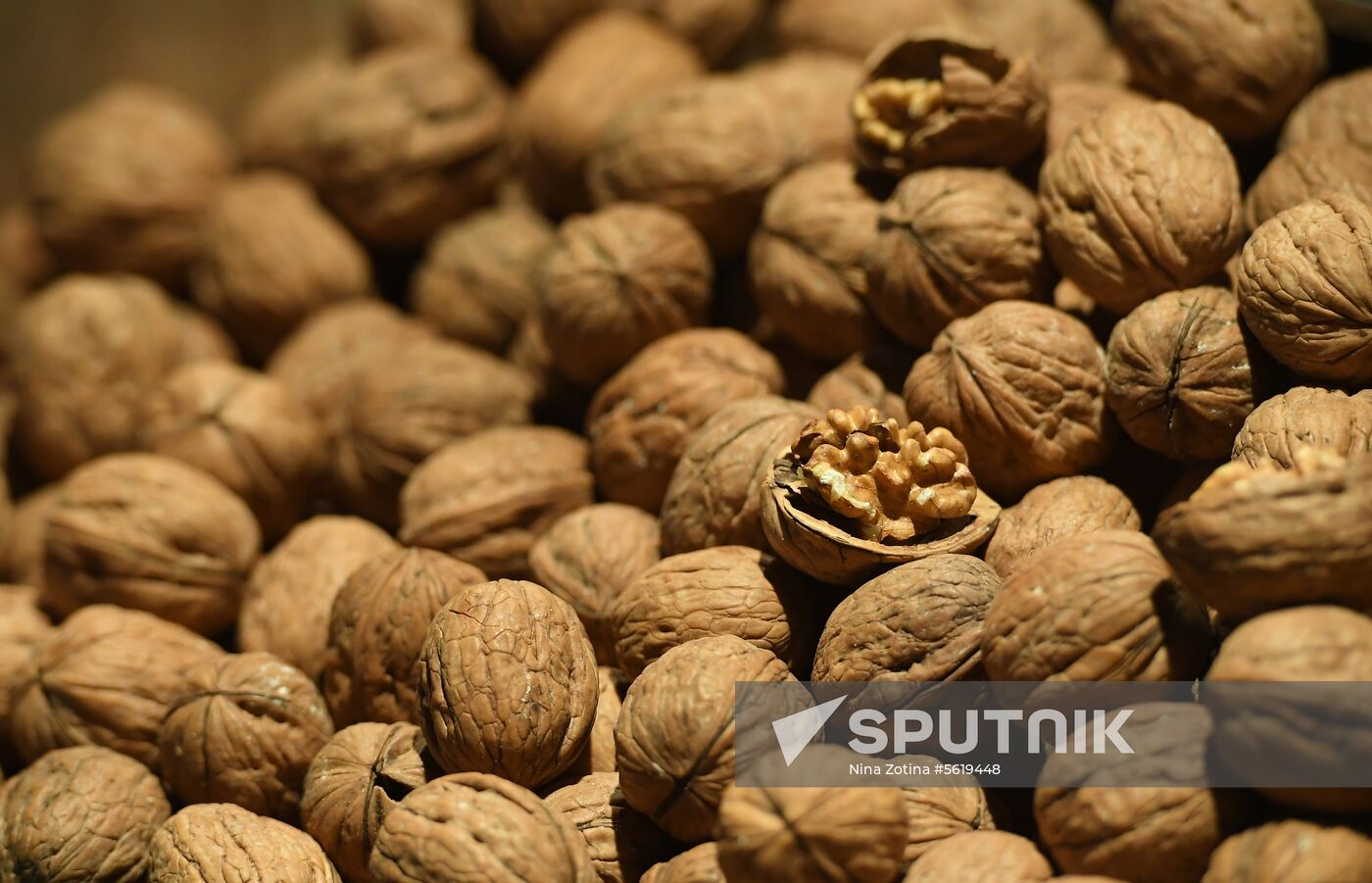 Liberal Democratic Party leader Vladimir Zhirinovsky visits Central market