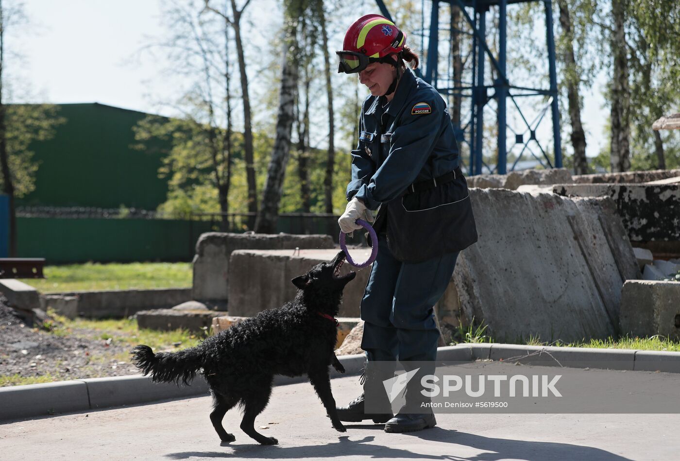 Training service dogs for EMERCOM