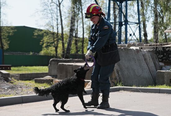 Training service dogs for EMERCOM