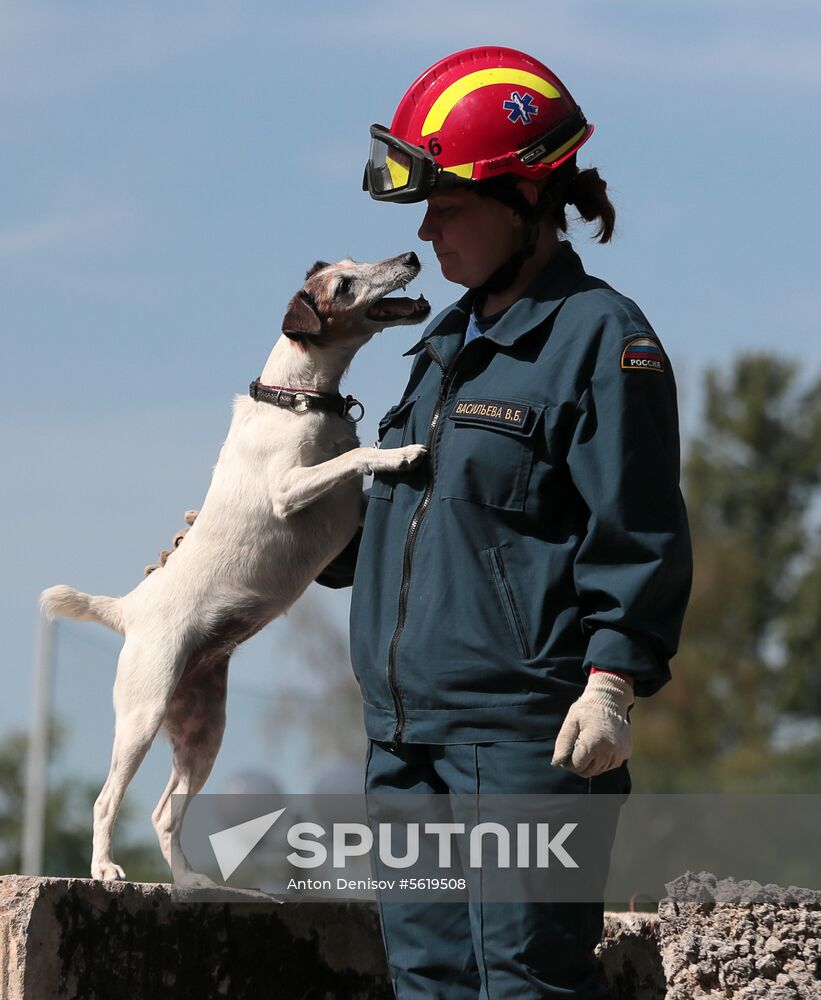 EMERCOM worker with a service dog during training held at the Moscow Fire and Rescue Service's training center in the village of Aparinki. Location: Russia, Moscow region. Author: Anton Denisov/Sputnik. Training service dogs for EMERCOM