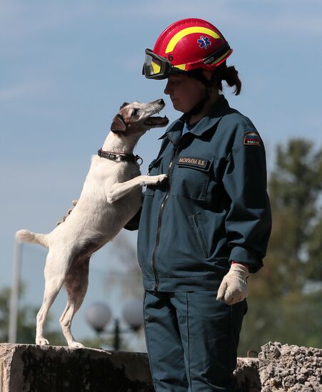 Training service dogs for EMERCOM