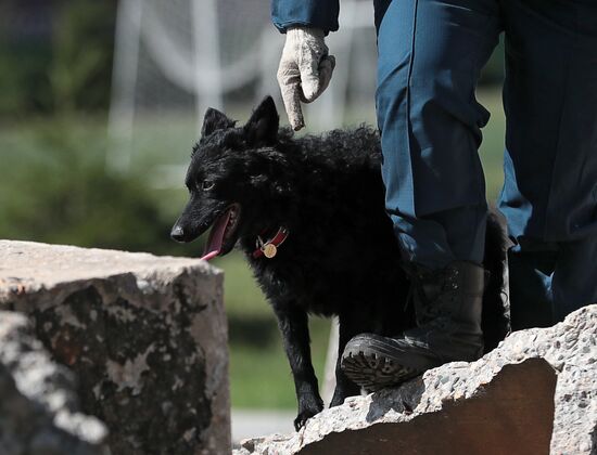 Training service dogs for EMERCOM