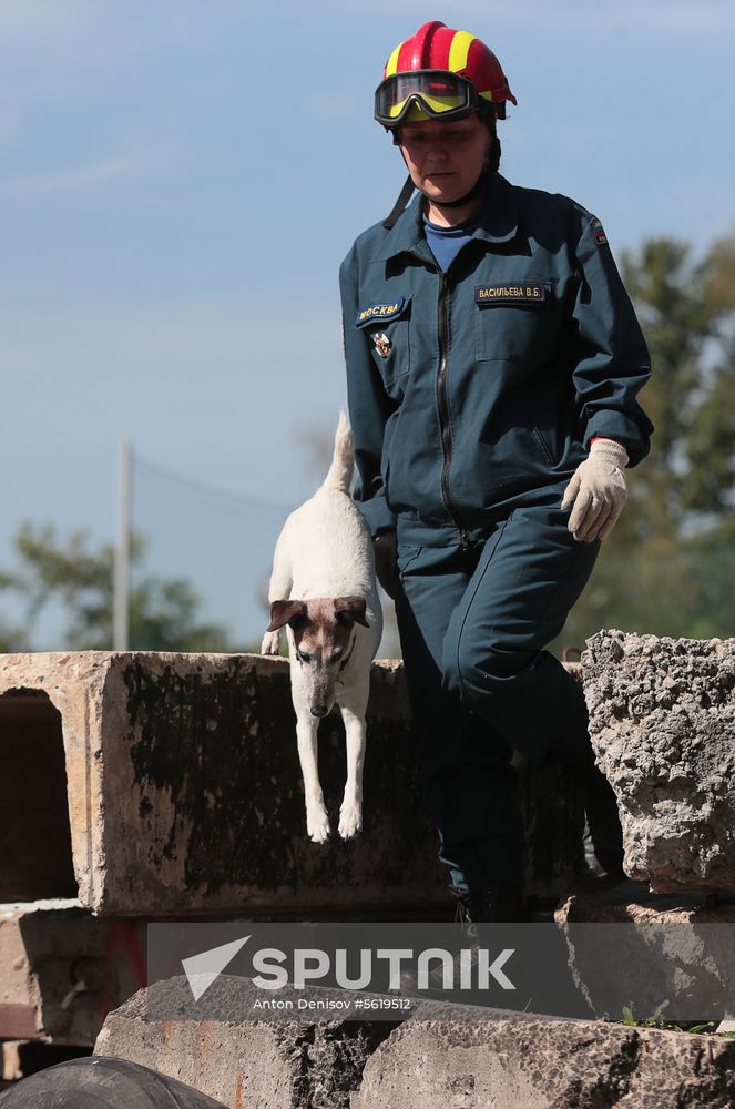 Training service dogs for EMERCOM